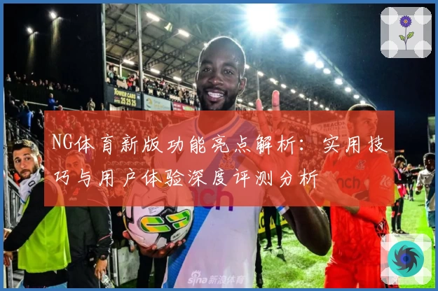 NG体育新版功能亮点解析：实用技巧与用户体验深度评测分析